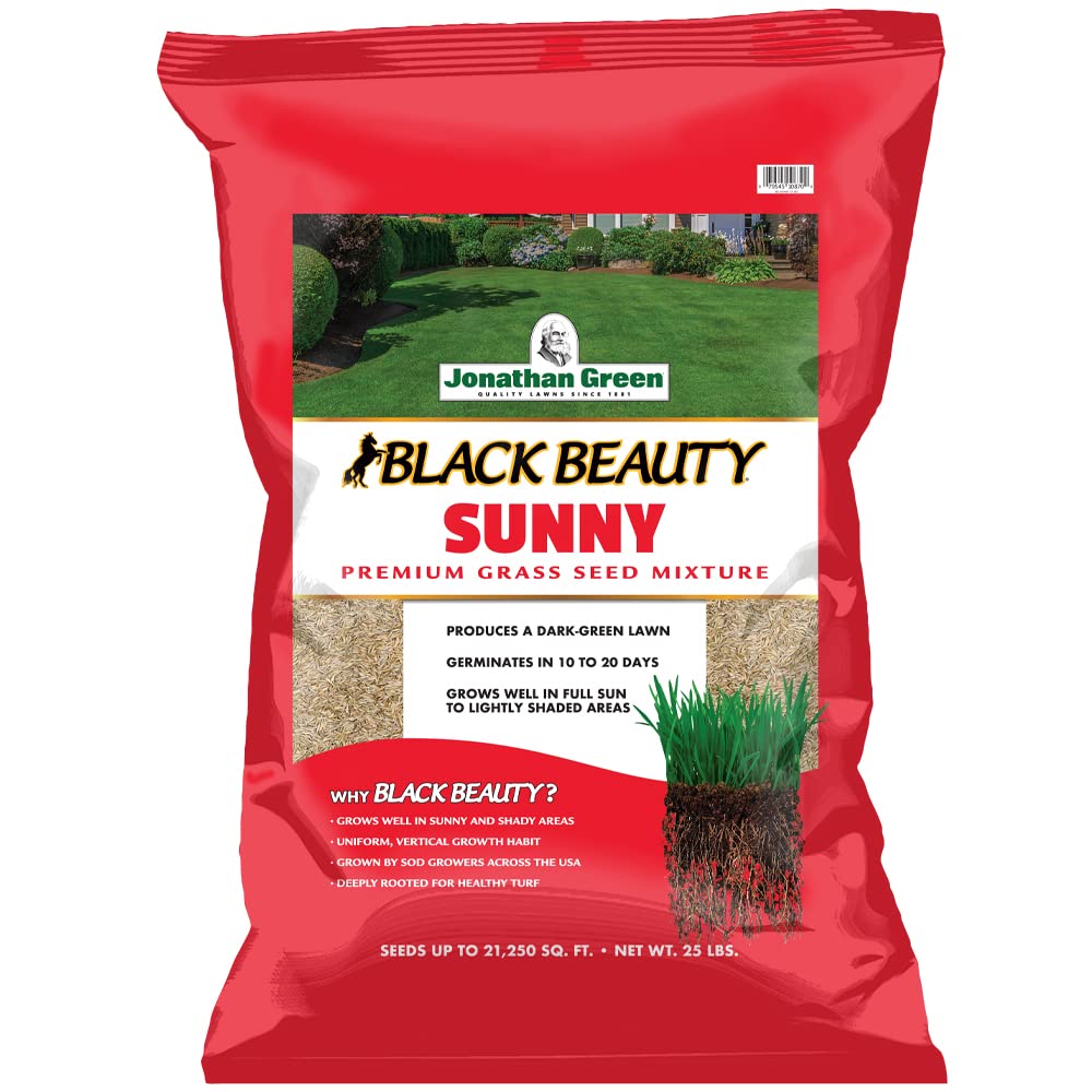 Jonathan Green Black Beauty Sunny Grass Seed pour demonstrates easy seed application for a vibrant lawn.