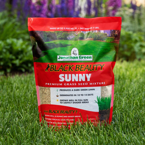Jonathan Green Black Beauty Sunny Grass Seed wax-coated leaves help conserve moisture and reduce evaporation.