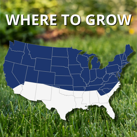 7 lb bag covers new lawn area up to 1,400 sq ft using Black Beauty Ultra Seed