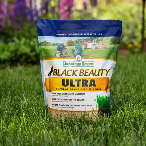 Lush, dark-green lawn achieved with Black Beauty Ultra Seed