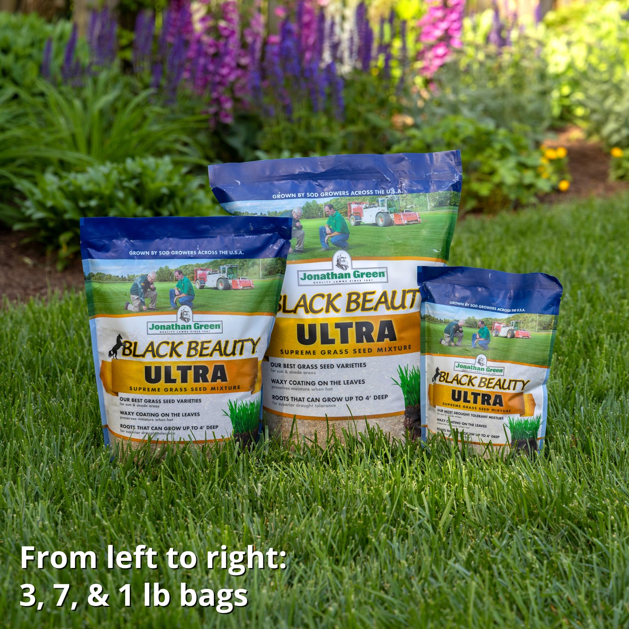 Germination timing and readiness shown with Black Beauty Ultra Seed