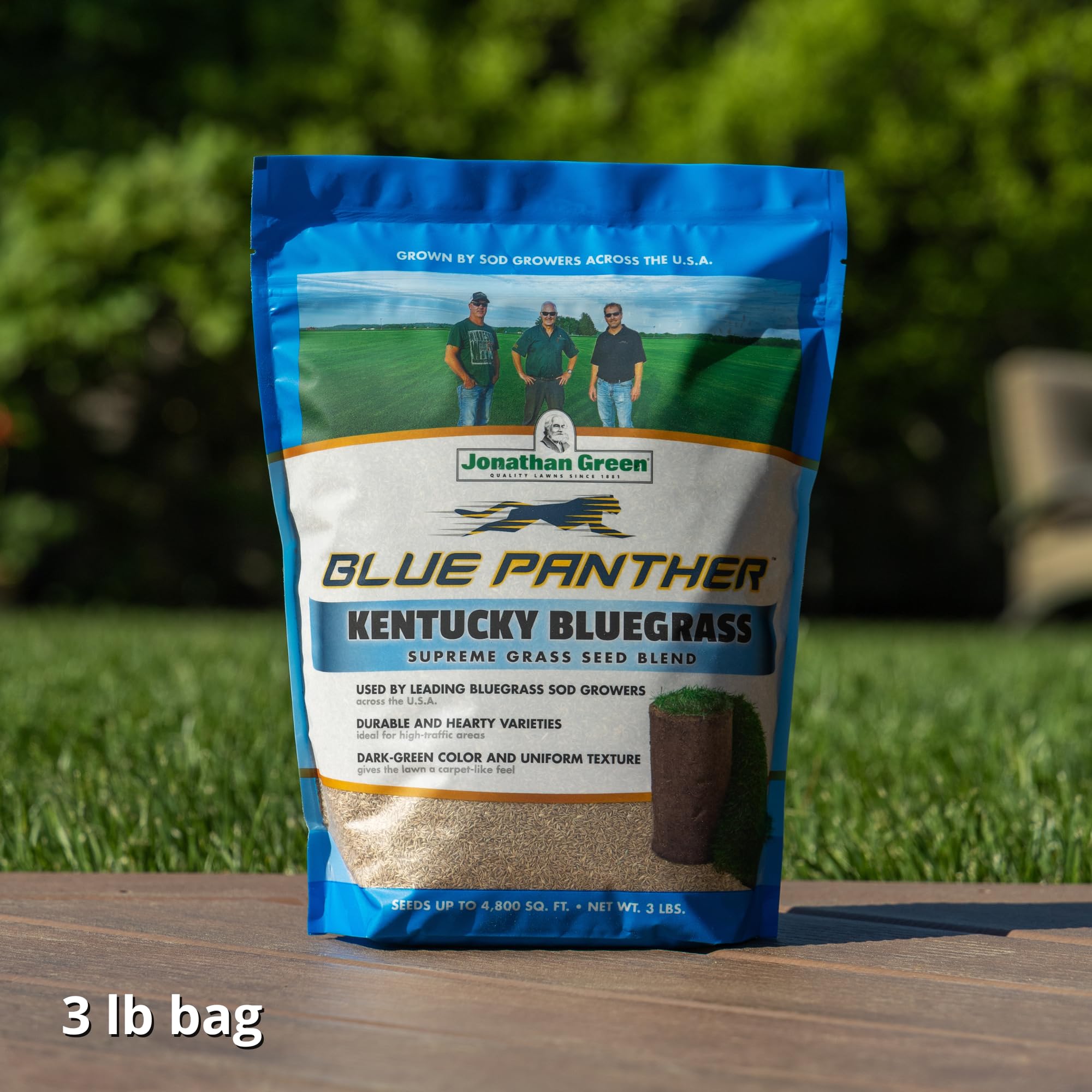 Jonathan Green Blue Panther seed creates dense, uniform leaf texture with dark green color.