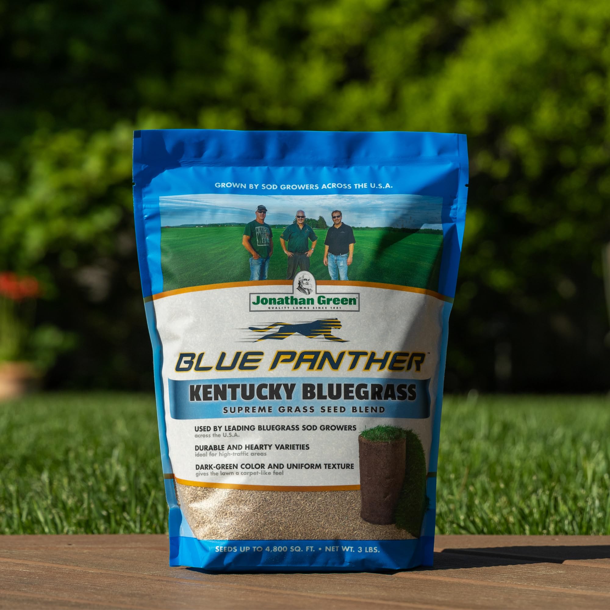 Seed being poured into a spreader for even establishment with Blue Panther.