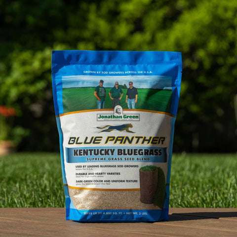 Seed being poured into a spreader for even establishment with Blue Panther.