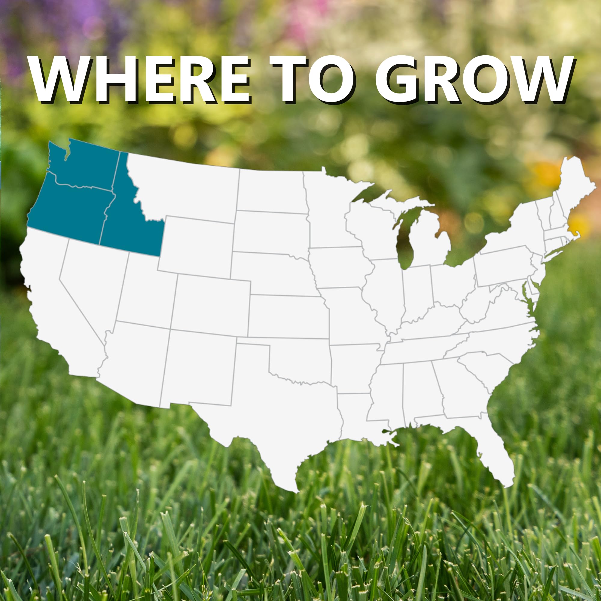 Jonathan Green dark-green, dense turf yields a lush lawn.