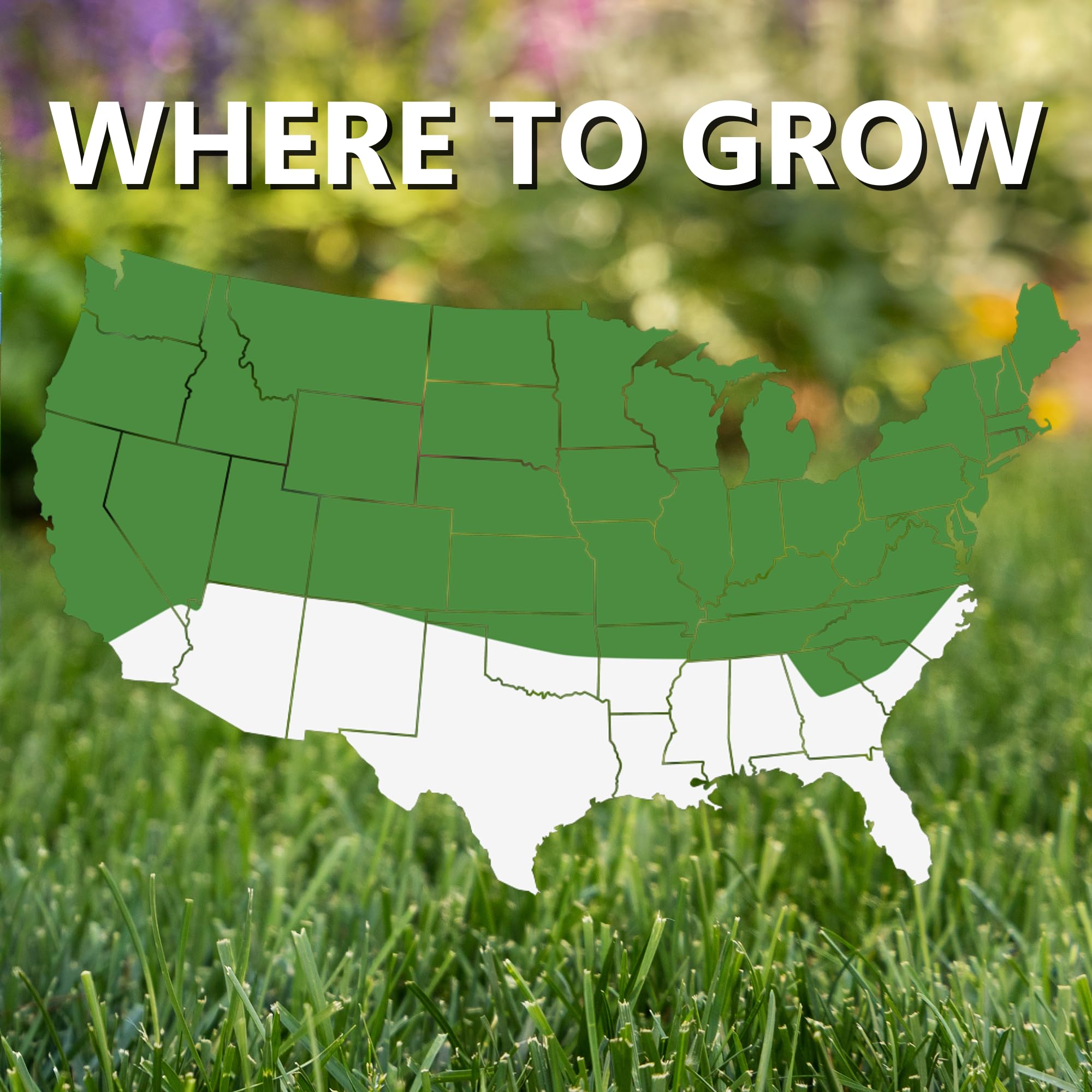 Jonathan Green dark-green lawn under trees illustrates shade-friendly seed performance.