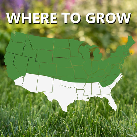 Jonathan Green dark-green lawn under trees illustrates shade-friendly seed performance.
