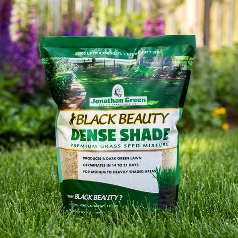 Jonathan Green Black Beauty Dense Shade Seed yields a lush, dark-green turf.