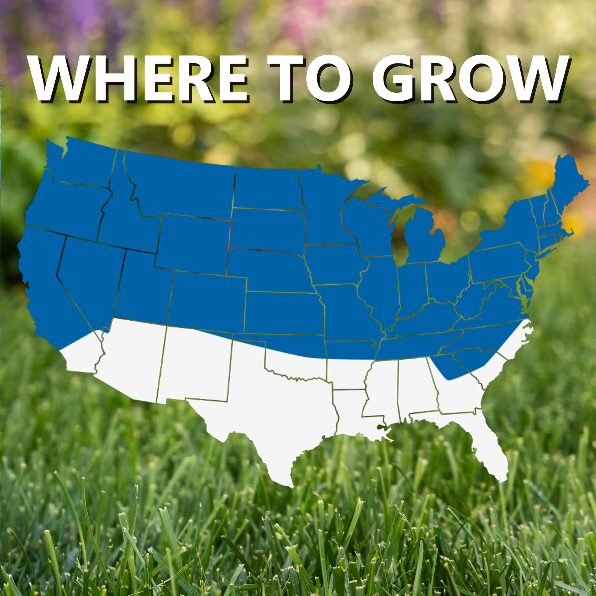 Jonathan Green dark-green turf density demonstrates a lush, resilient lawn under sun
