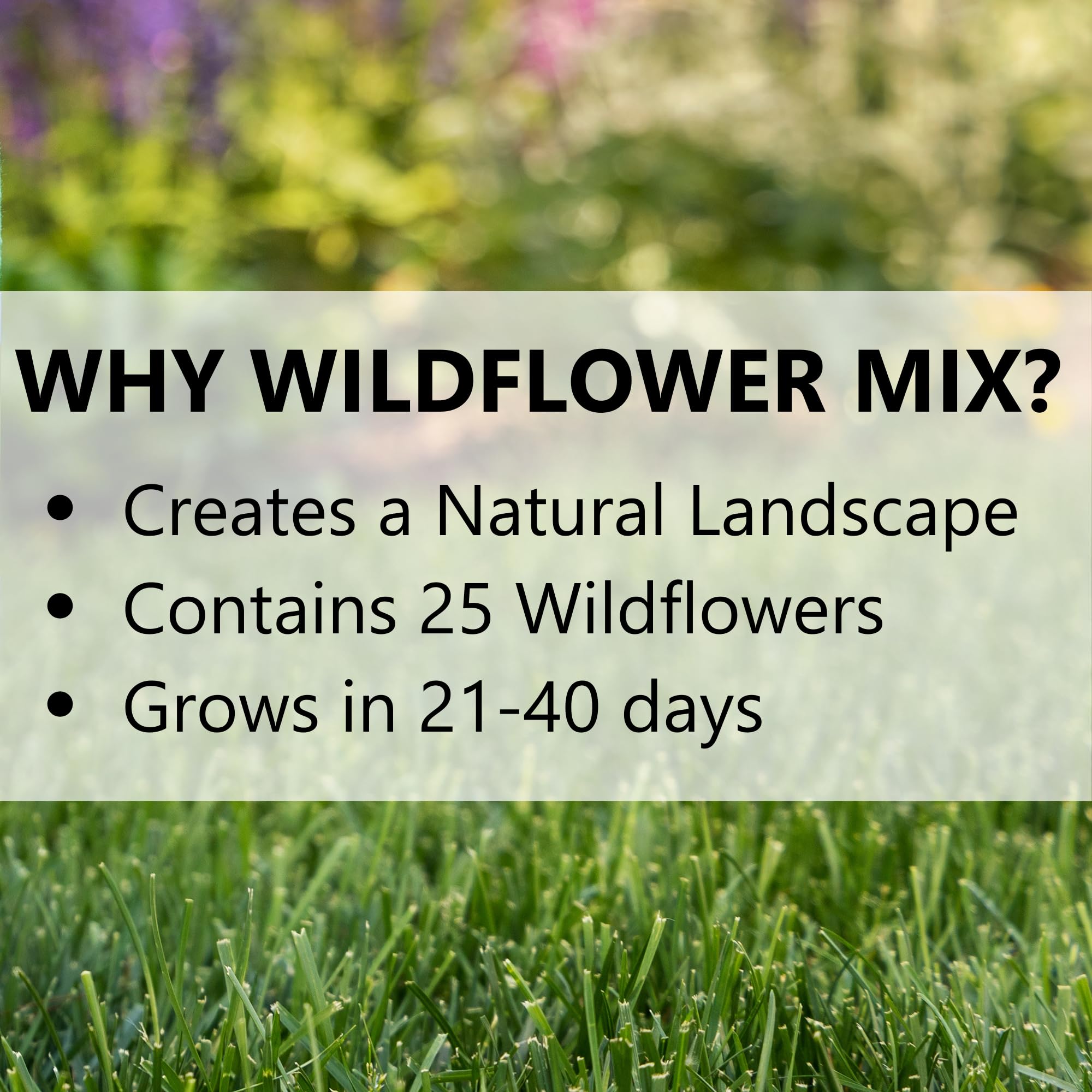 Jonathan Green landscape-ready 1 lb seed mix covering up to 1,000 sq ft.