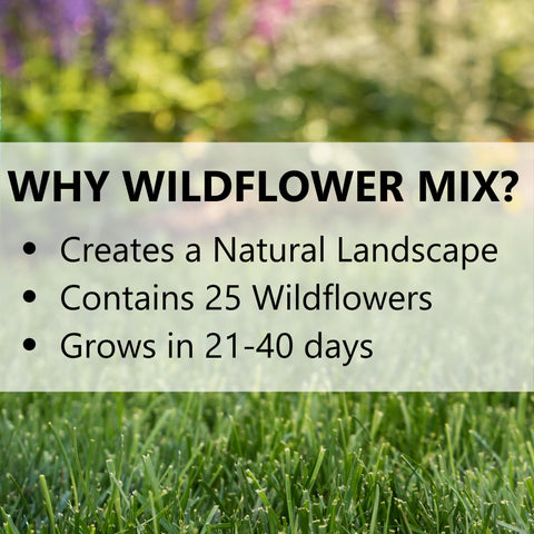 Jonathan Green landscape-ready 1 lb seed mix covering up to 1,000 sq ft.