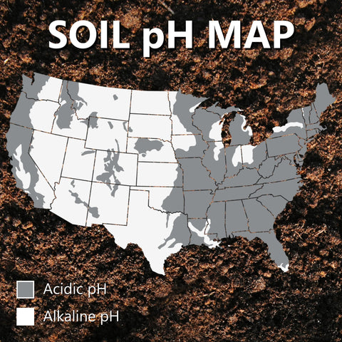 Pouring Mag-I-Cal from the bag demonstrates rapid soil pH balancing.