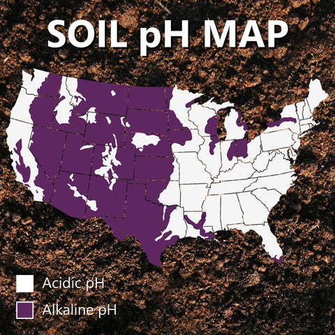 Close-up of soil structure after MAG-I-CAL Plus treatment.