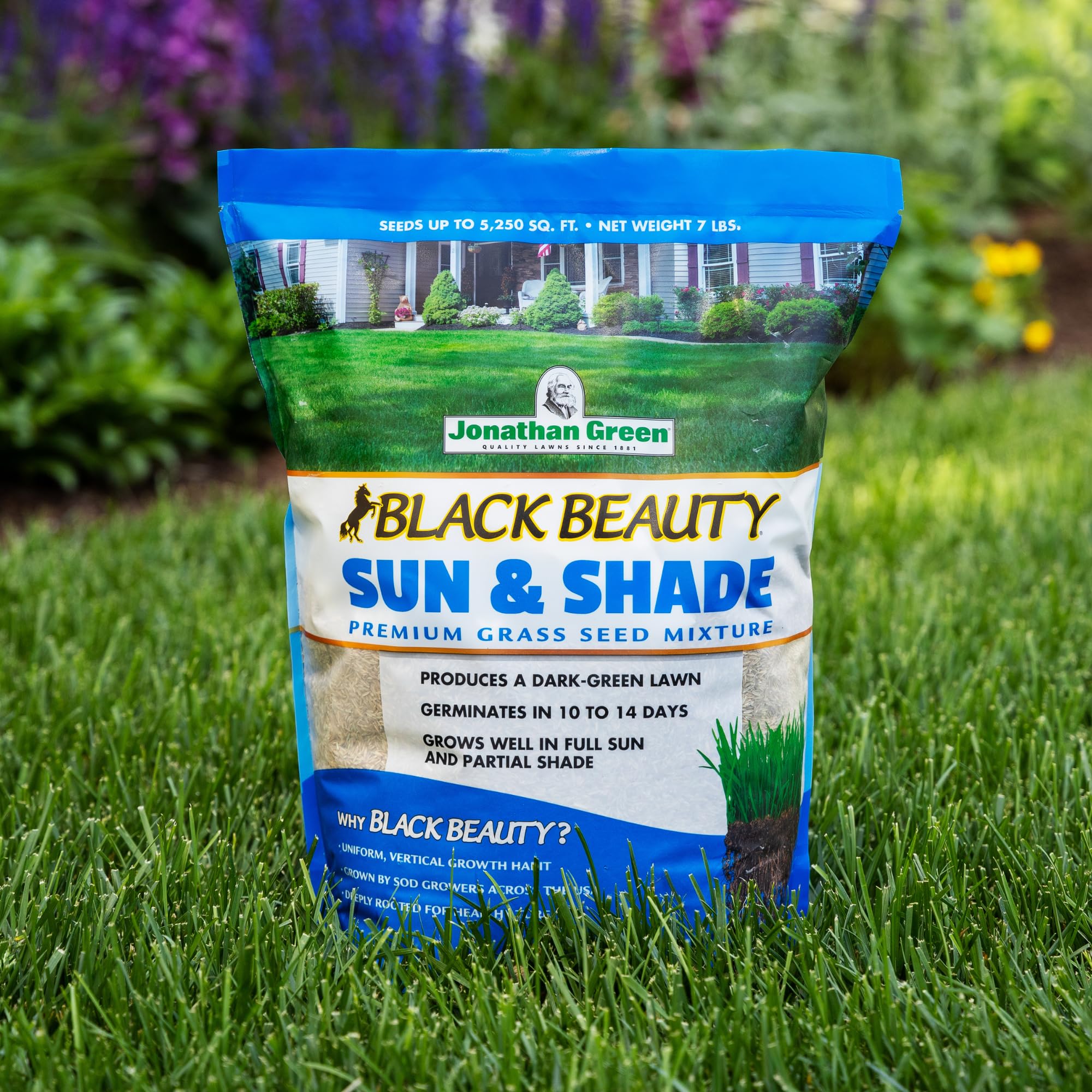 Jonathan Green overseed-ready seed blend helps fill bare spots quickly.