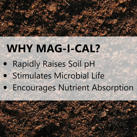 Jonathan Green pH test kit beside Mag-I-Cal for soil monitoring.