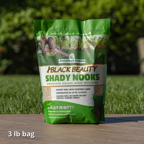 Jonathan Green tall fescue and fine fescue blend promotes lush lawn under trees.