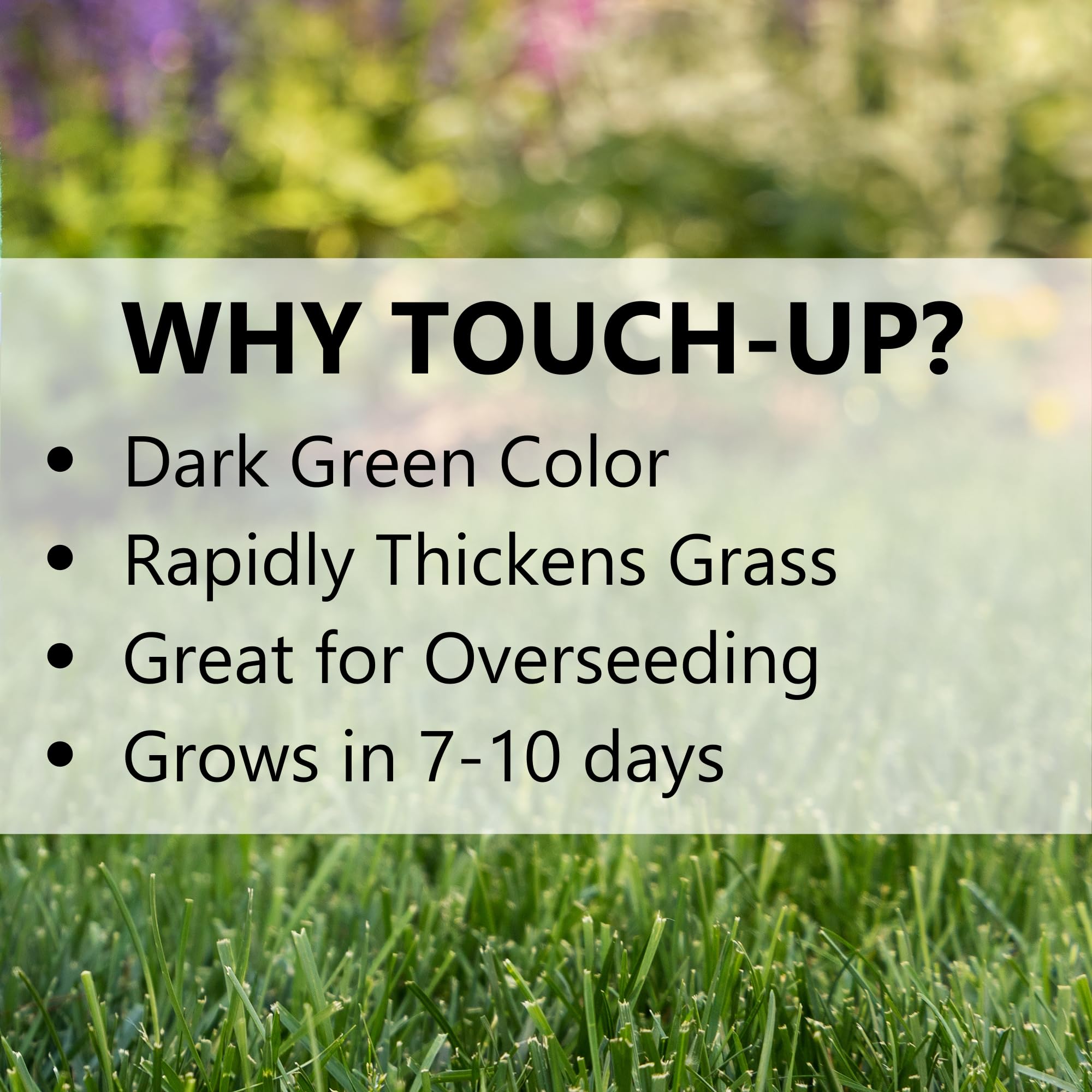Jonathan Green TRI-RYE coverage planning for lawn areas