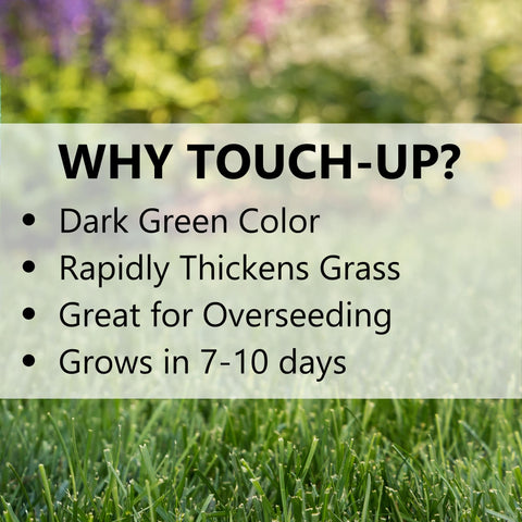 Jonathan Green TRI-RYE coverage planning for lawn areas