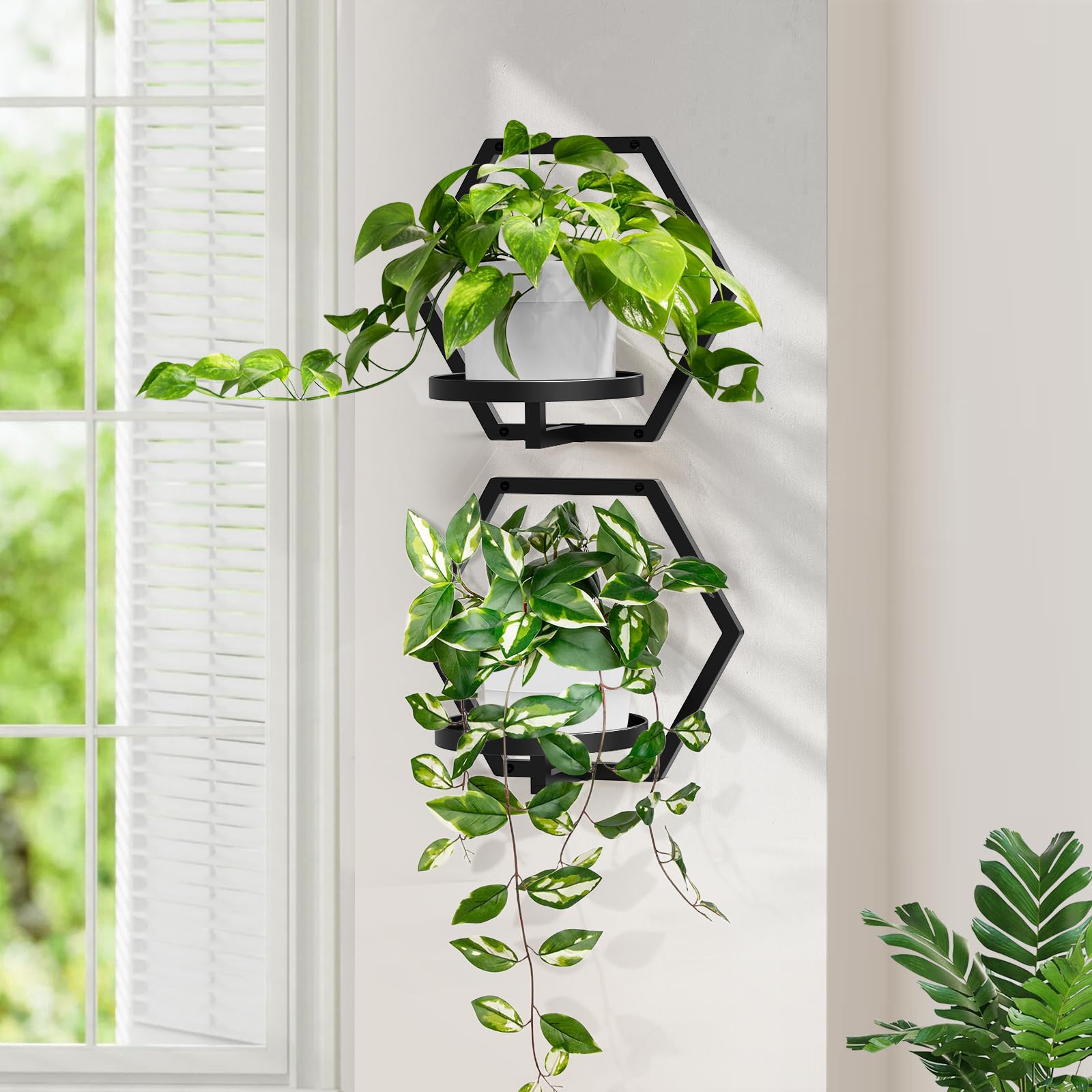 JOPBENG 7.87-inch tray fits a range of plant sizes