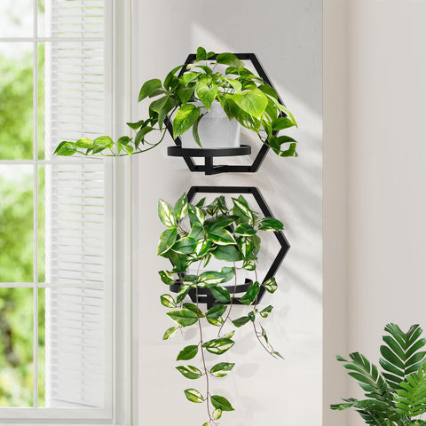 JOPBENG 7.87-inch tray fits a range of plant sizes
