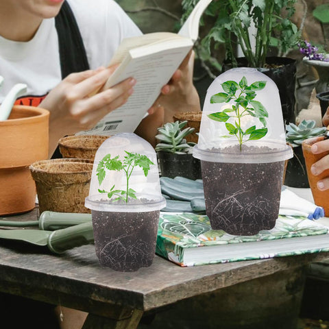 JOPY 10-pack nursery pots with domes ideal for indoor and outdoor seed starting