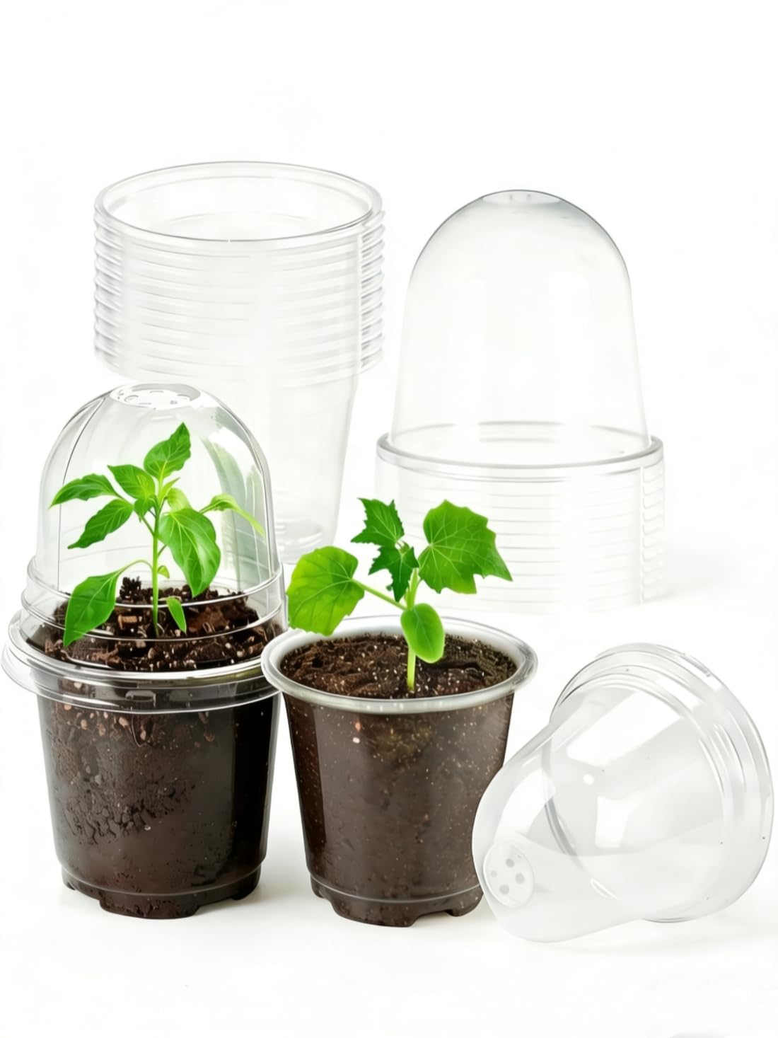 JOPY 4-inch nursery pot with clear humidity dome for easy seedling observation and germination