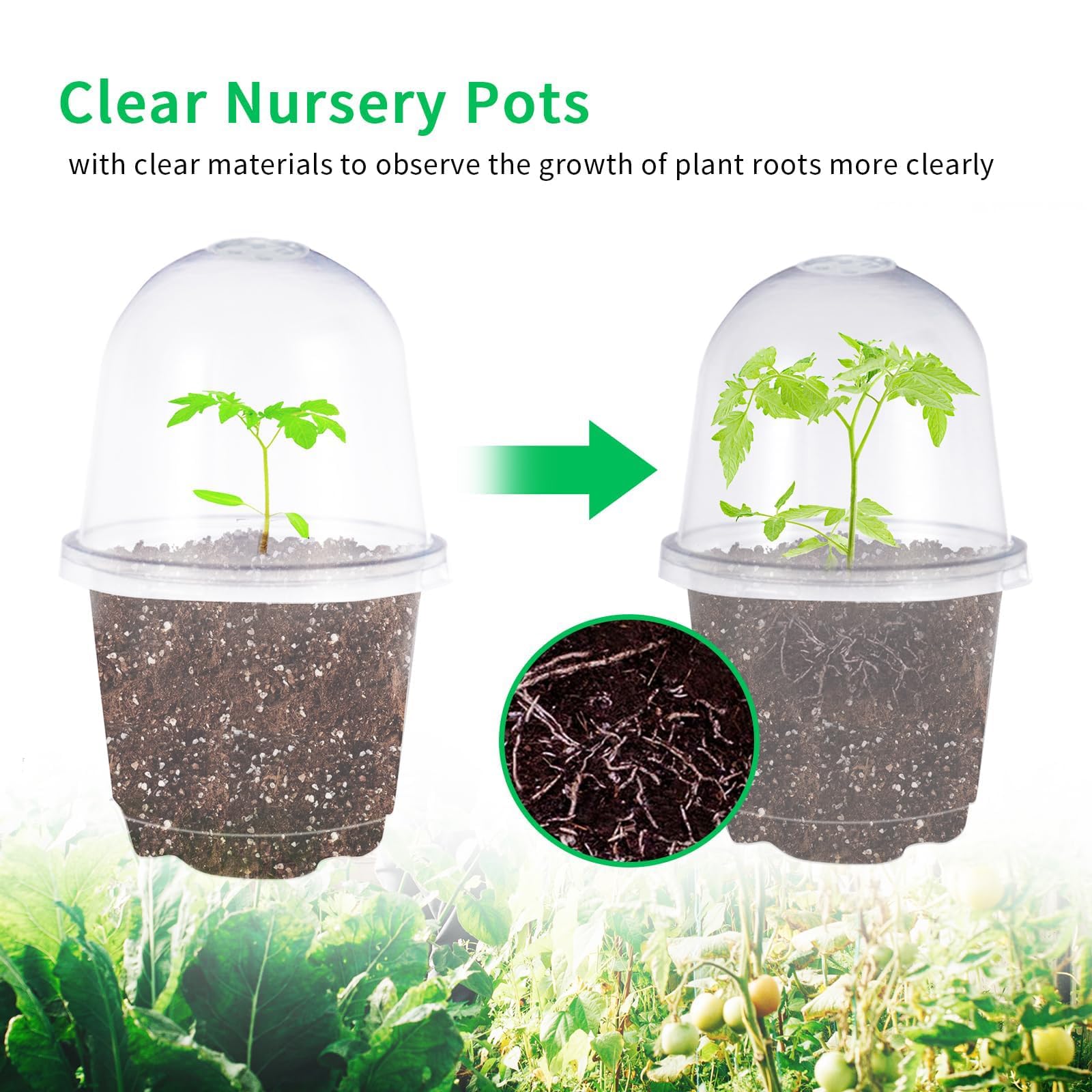 JOPY compact seedling pots ideal for indoor germination and small-space gardens
