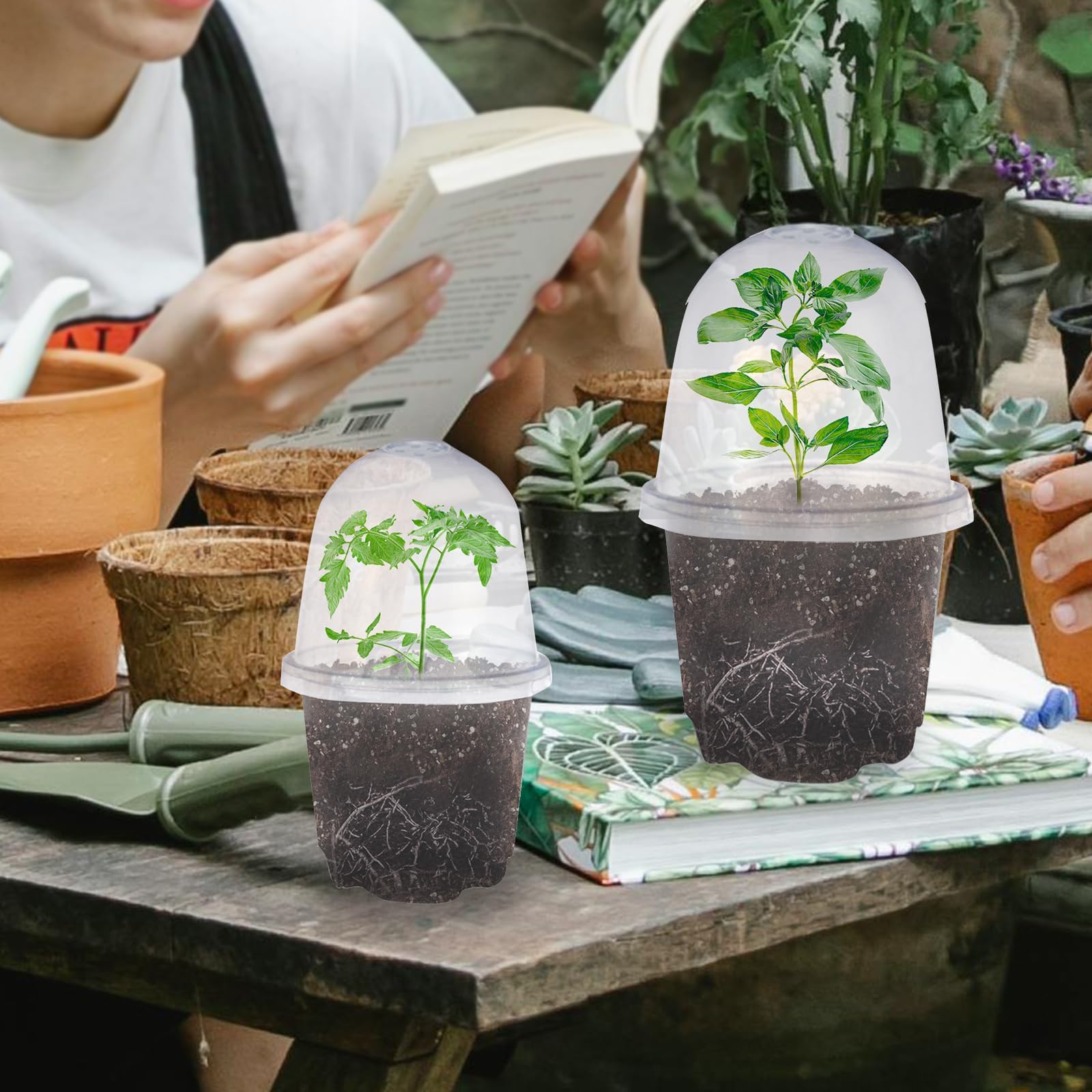 JOPY indoor outdoor seedling pots set suitable for herbs and vegetables