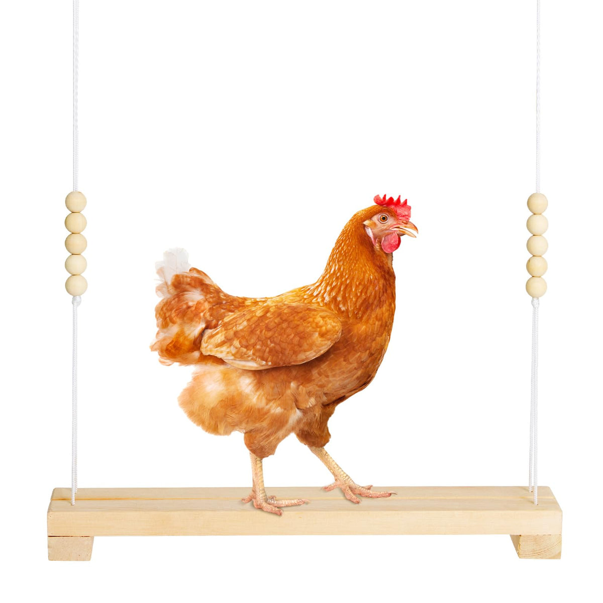 Jorewood chicken swing perch with natural wooden poles for safe perching in the coop
