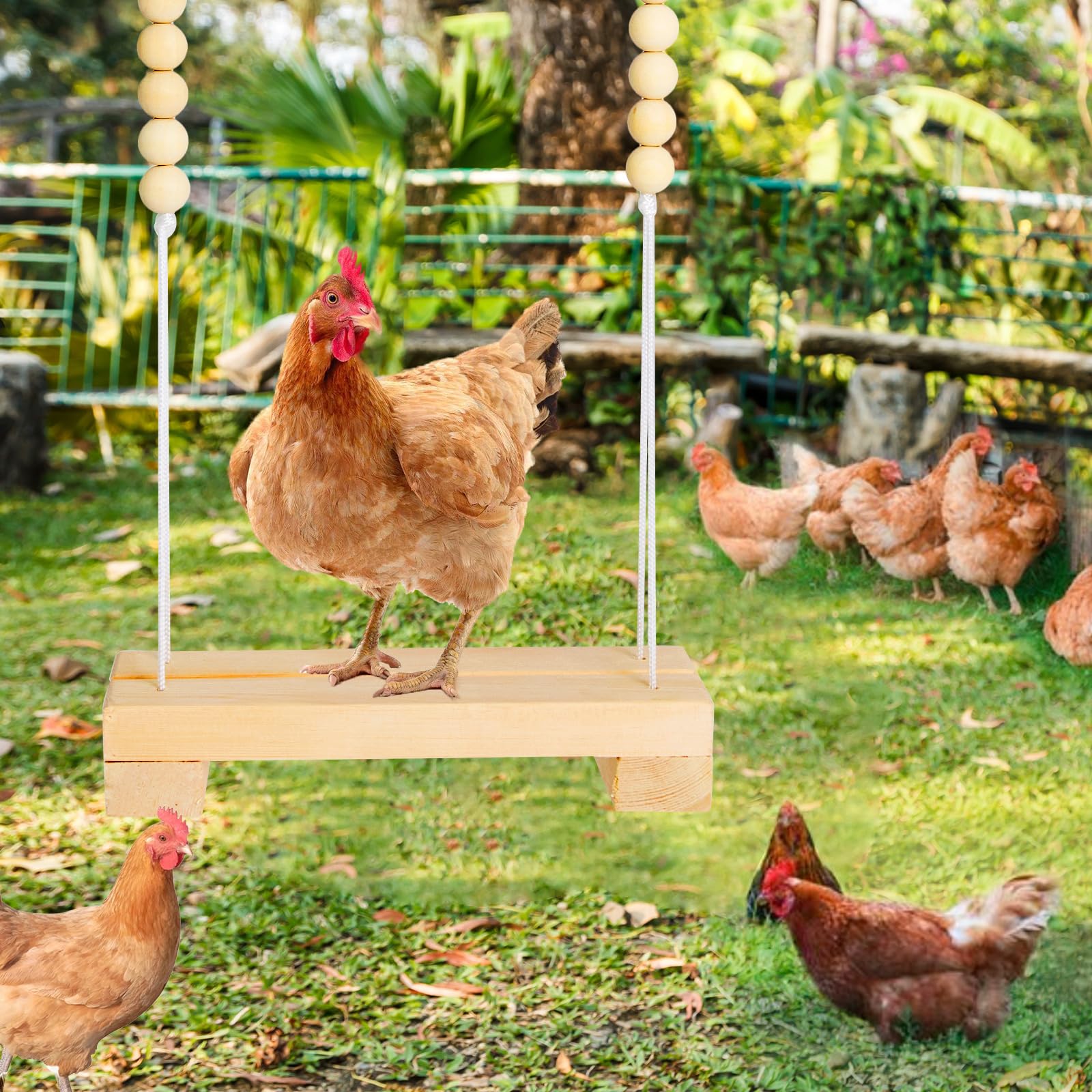 Jorewood 40cm natural wooden perch keeps birds active and entertained