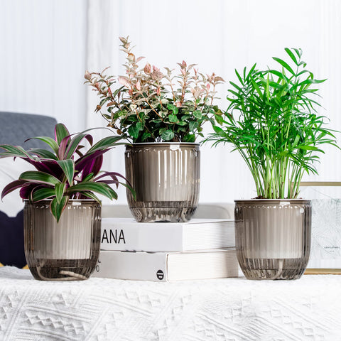 Josteve compact 4.5-inch planter fits small spaces while keeping plants healthy.