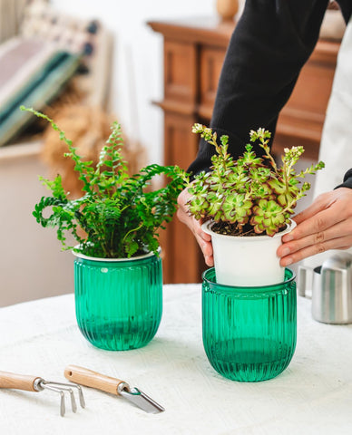 Josteve planter with cotton string wicks for steady moisture delivery