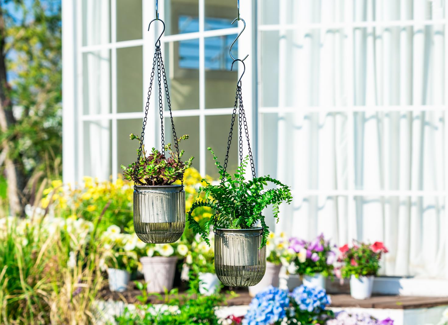 Josteve hanging planter shows moisture status with the wick-based watering system for easy care.