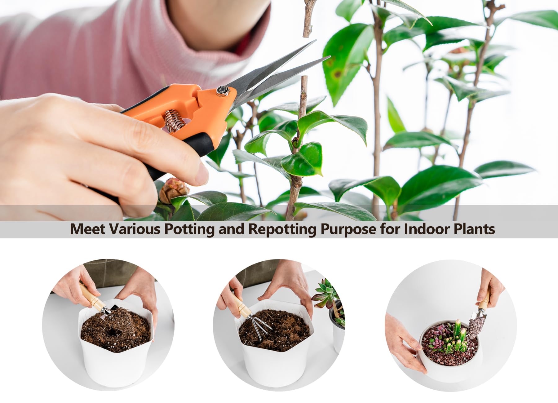 Josteve succulent tools kit with compact design for precise pruning.