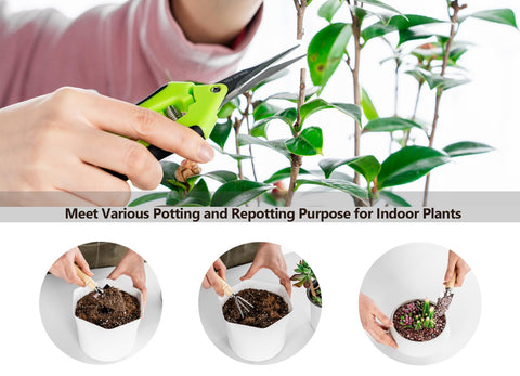 Josteve succulent tools kit with precise cuts for small indoor plants.