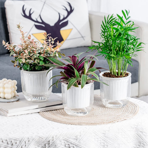 Josteve 2-pack planters pair well with home decor.