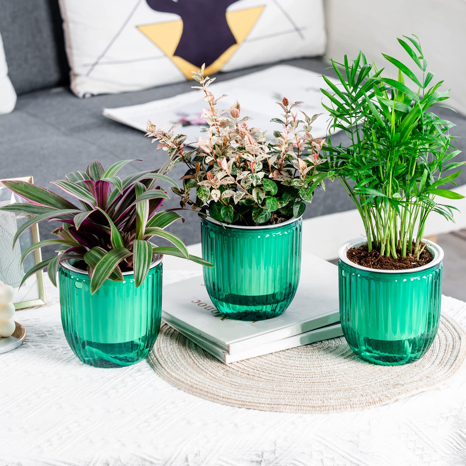 Josteve versatile indoor outdoor plant hanger for table or ceiling display