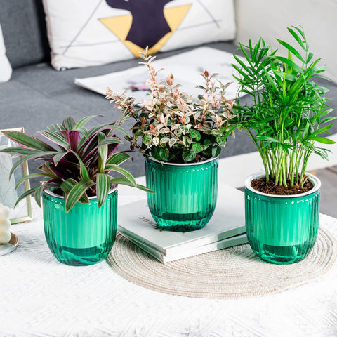 Josteve versatile indoor outdoor plant hanger for table or ceiling display