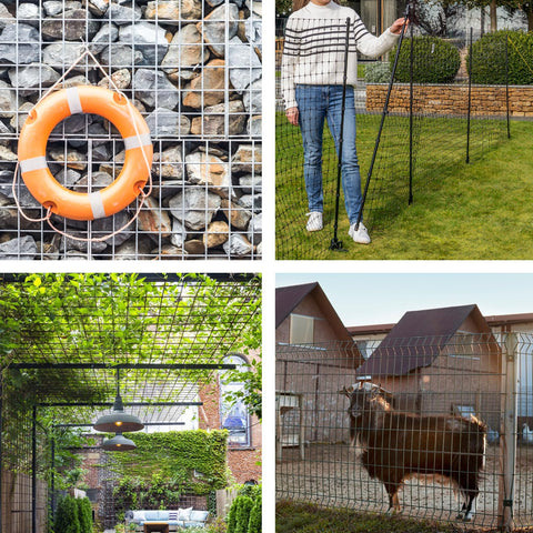 Jotesnew fencing protects vegetables from small animals while letting light through.