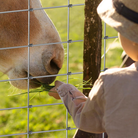 Jotesnew heavy-duty panel offering secure livestock control and property protection