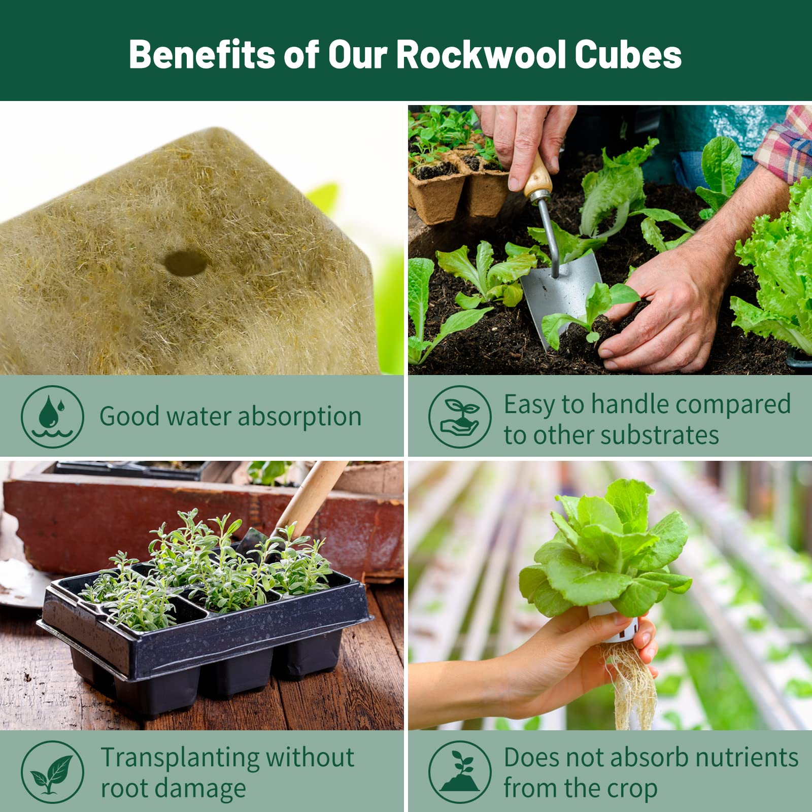 Jowlawn hydroponics setup showing robust root growth in rockwool cubes