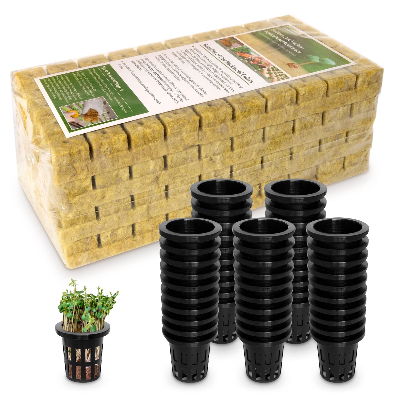 Jowlawn 1-inch rockwool plugs ready for seedling establishment and root growth