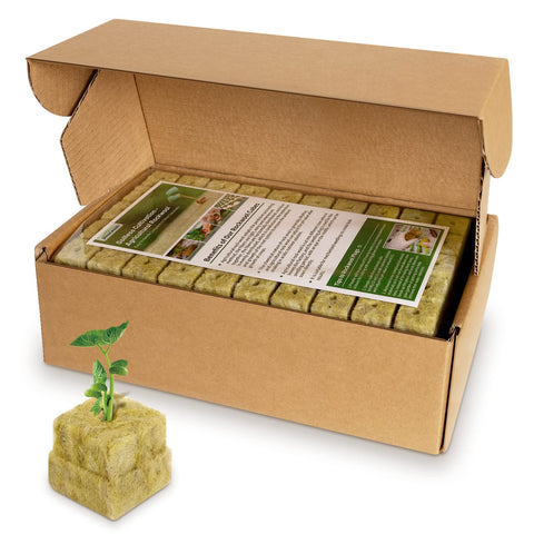 Jowlawn rockwool cubes 200 plugs for reliable seed starting and cloning