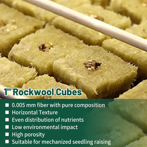 Close-up of Jowlawn rockwool cubes showing fibrous structure supporting roots