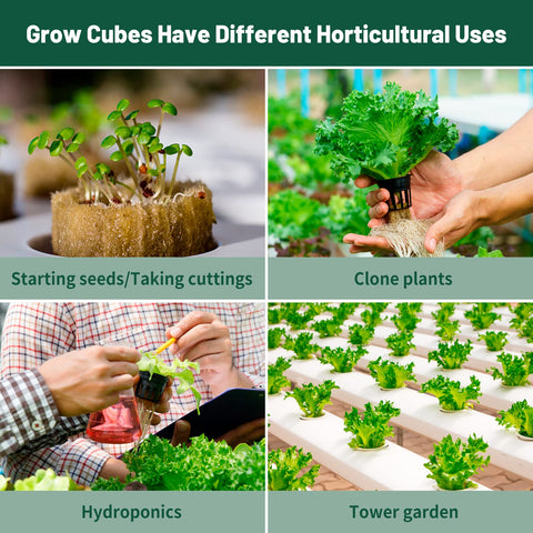 Jowlawn rockwool cubes package includes 200 plugs in four sheets