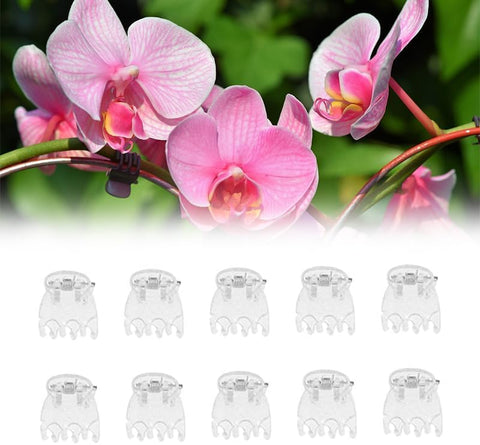 Jowxsx 50 piece pack supports many plant types