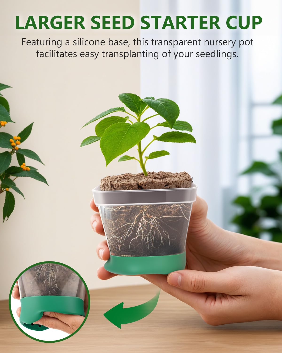 JoyHalo complete seed starter kit assembles essential gear for indoor herbs and vegetables.