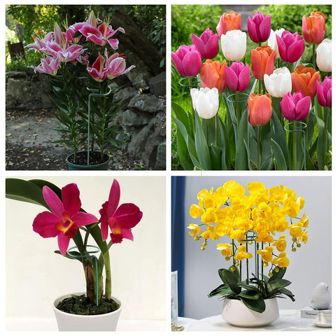 Joyhalo reusable garden stakes withstand seasons without rot.