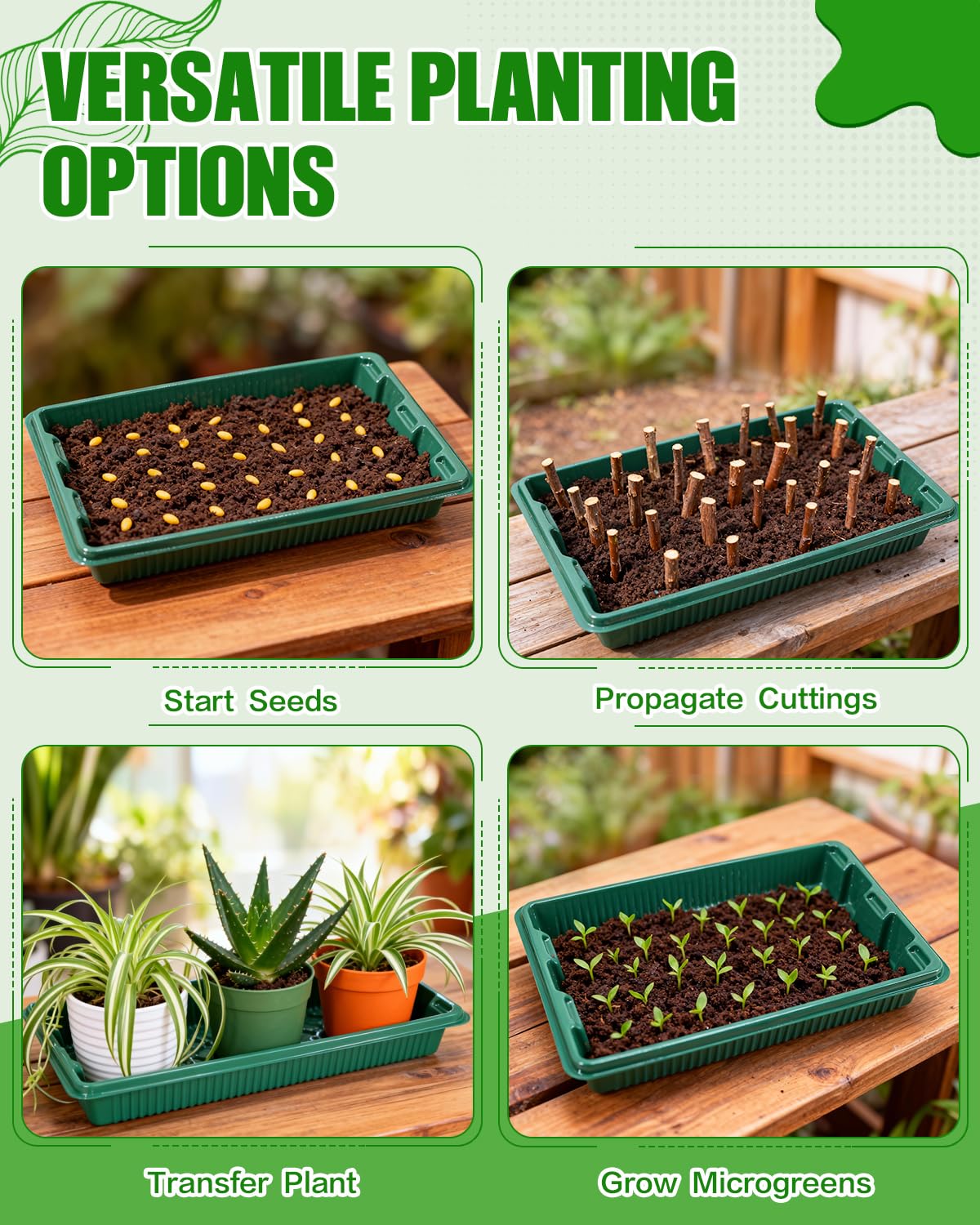 JoyHalo indoor gardening-tray set keeps growing essentials organized and accessible.
