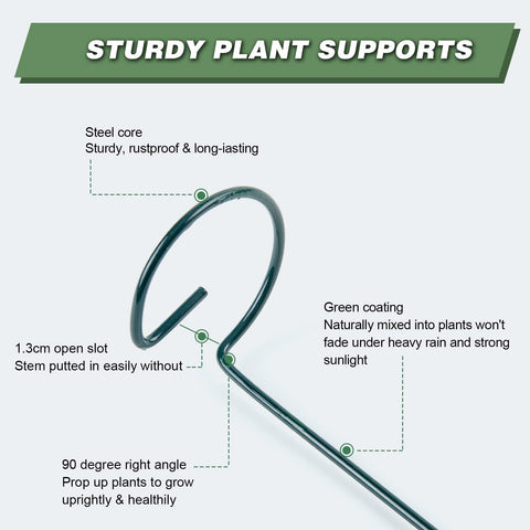 Joyhalo plant stakes help peonies stand upright in wind.